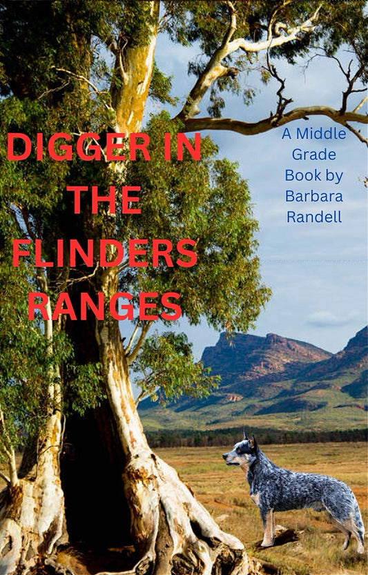 Digger in the Flinders Ranges, Barbara Randell